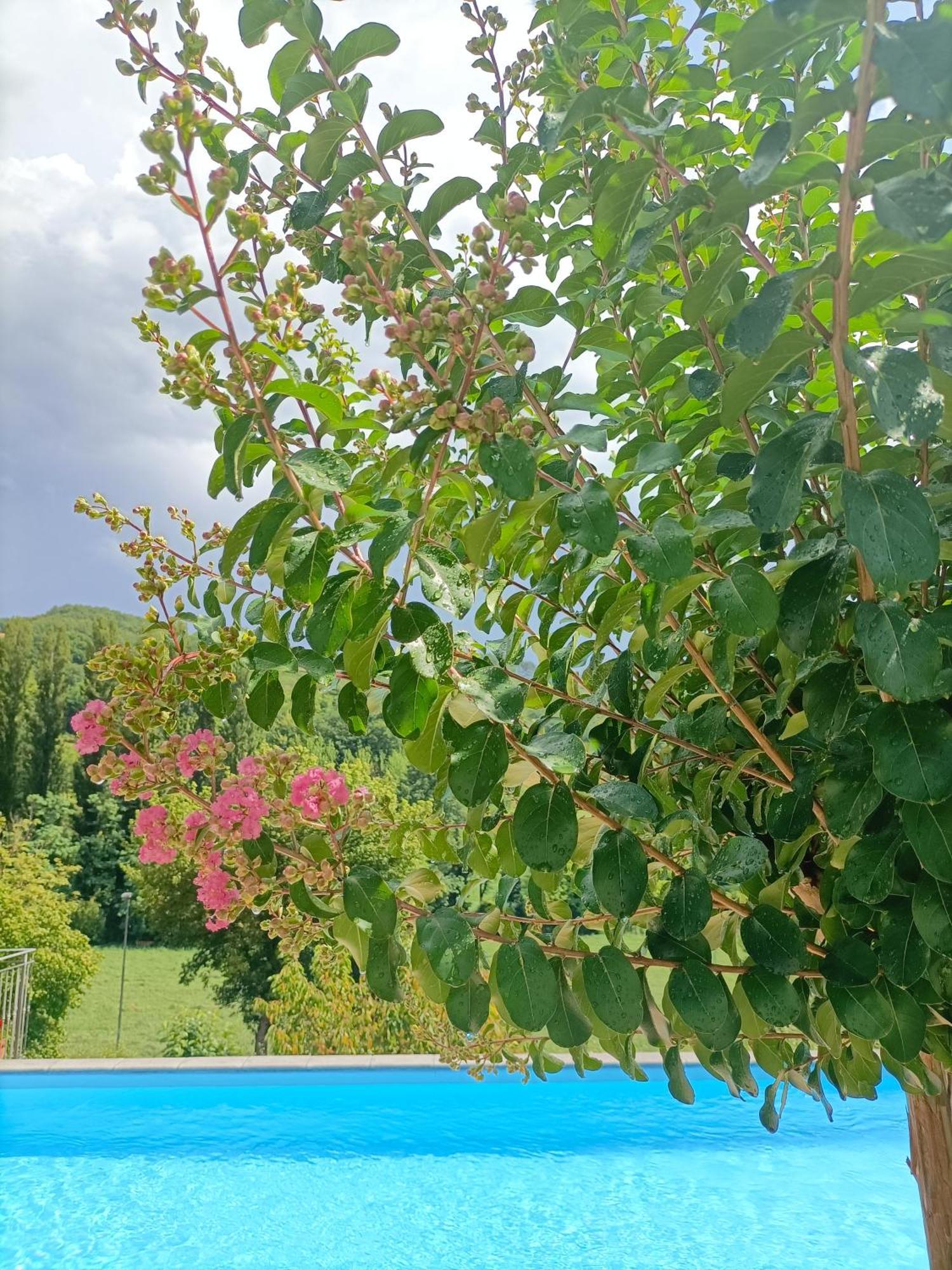 B&B Villa Ginevra Pietralunga (Umbria) Exterior foto